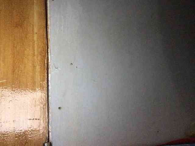 Smithsophie webcam