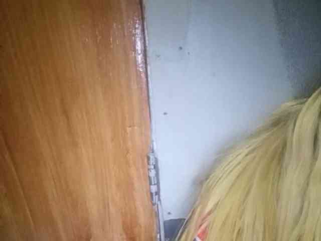 Smithsophie webcam