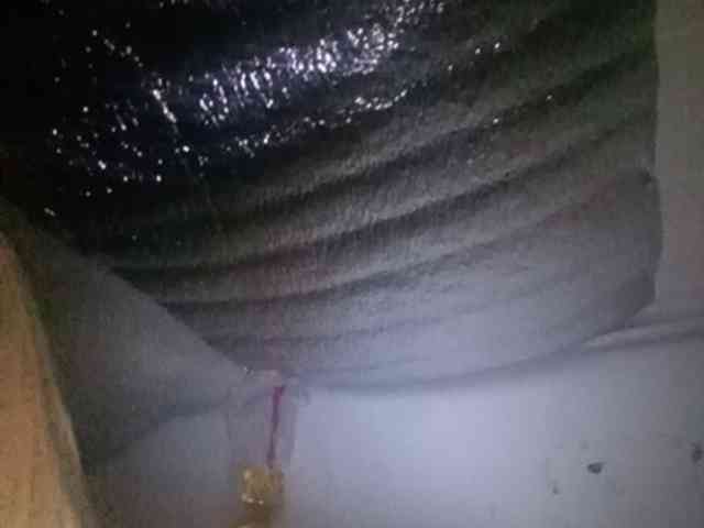 Smithsophie webcam
