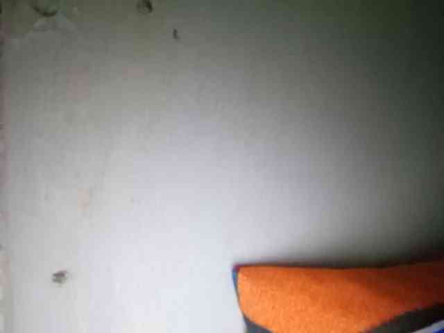 Smithsophie webcam