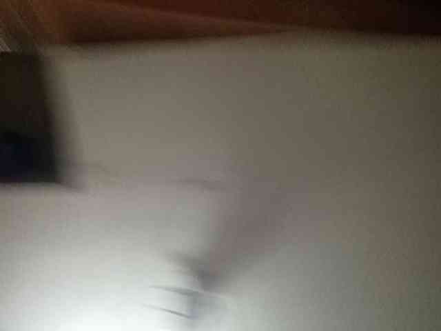 Smithsophie webcam