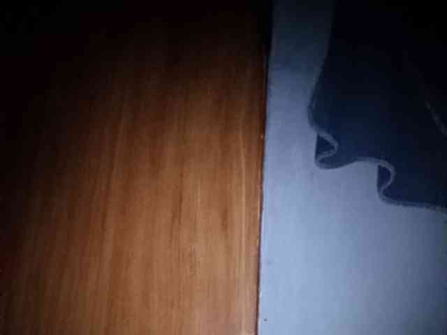 Smithsophie webcam
