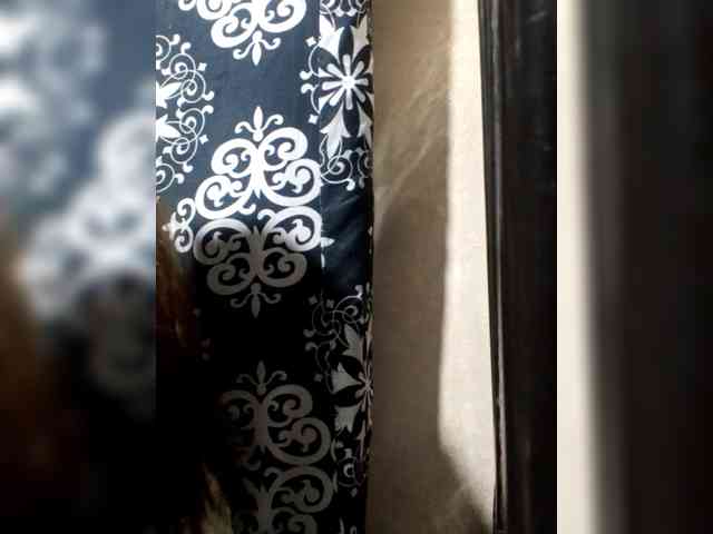 Smithsophie webcam