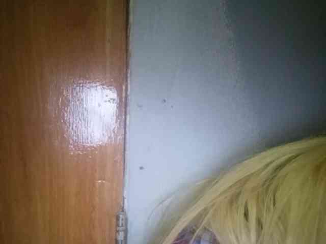 Smithsophie webcam