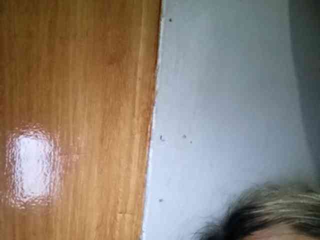 HEARTQUEEN webcam