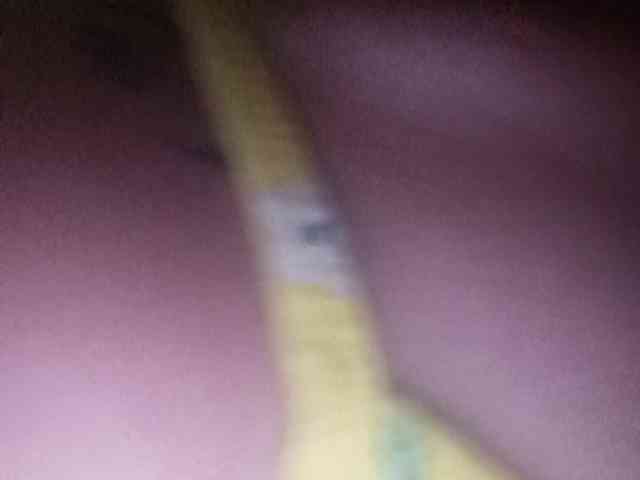 Smithsophie webcam