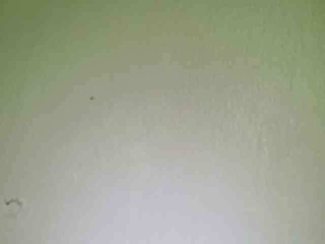 Smithsophie webcam