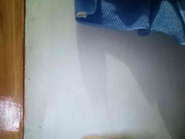 Pempemliciouss Pempemliciouss