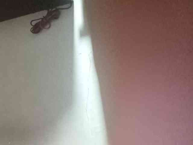 Smithsophie webcam