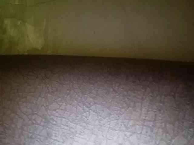 Smithsophie webcam