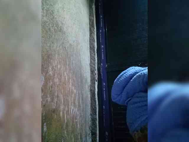 Smithsophie webcam