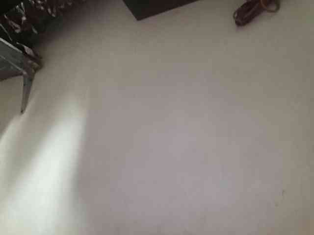 Smithsophie webcam