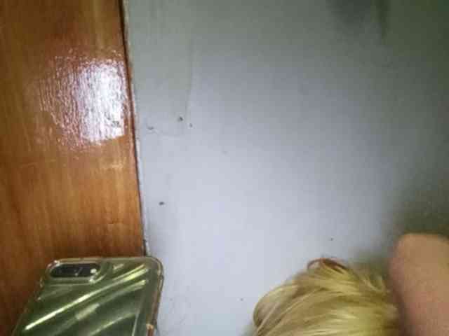 Smithsophie webcam