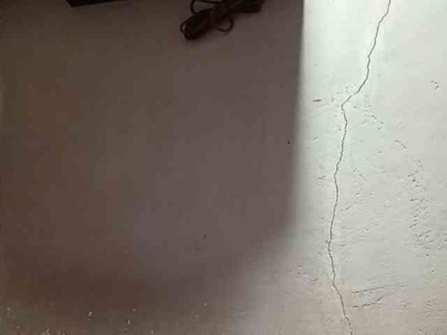 Smithsophie webcam