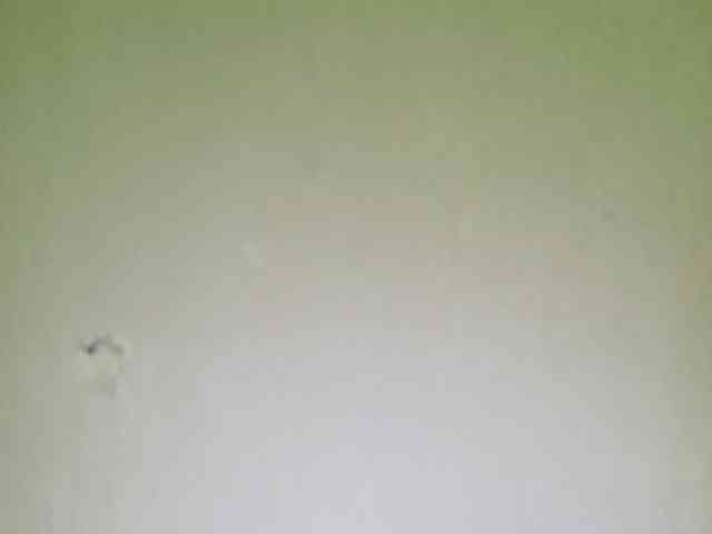 Smithsophie webcam