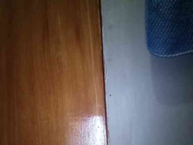 Smithsophie webcam