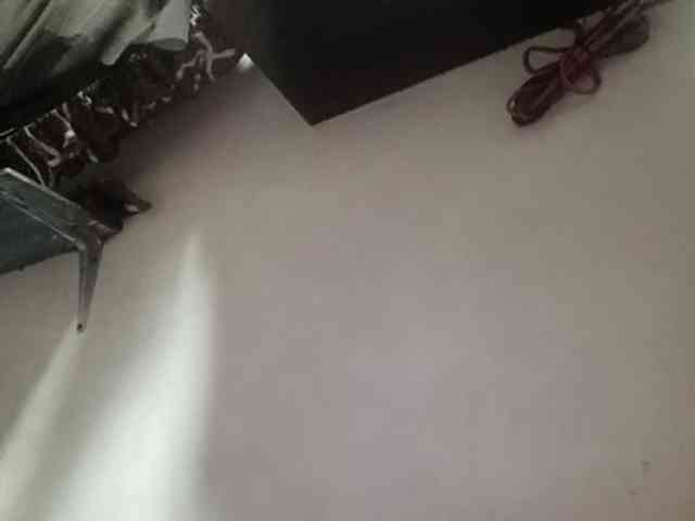 Pempemliciouss Pempemliciouss