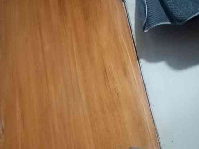 Smithsophie webcam