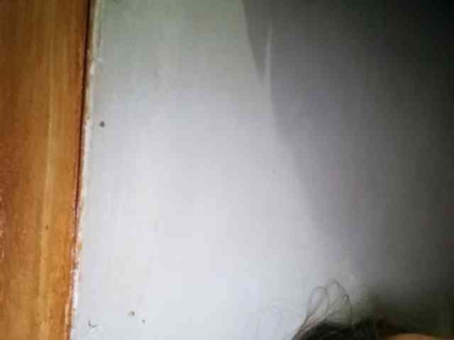 Pempemliciouss Pempemliciouss