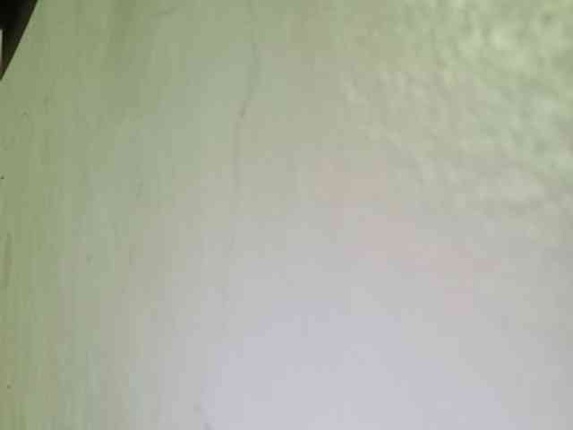 Smithsophie webcam