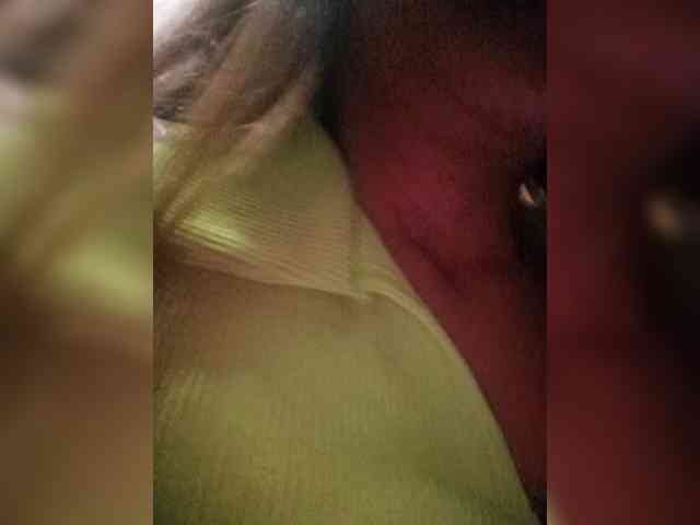Smithsophie webcam