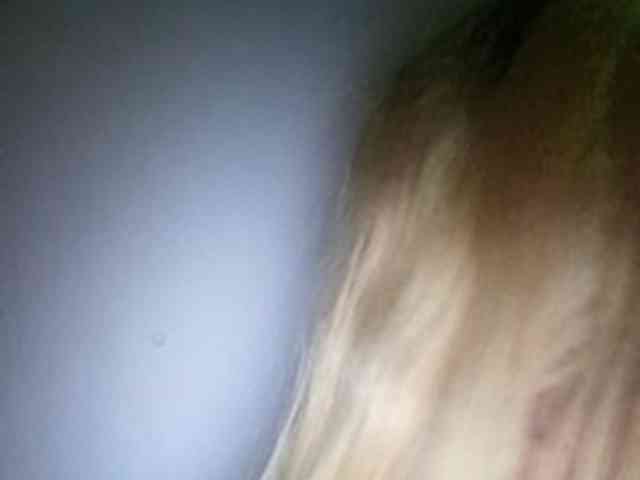 Smithsophie webcam