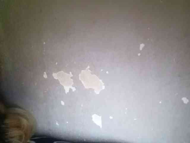 Smithsophie webcam