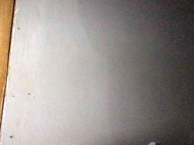 Smithsophie webcam