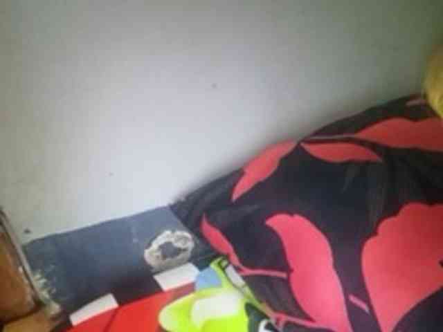 Smithsophie webcam
