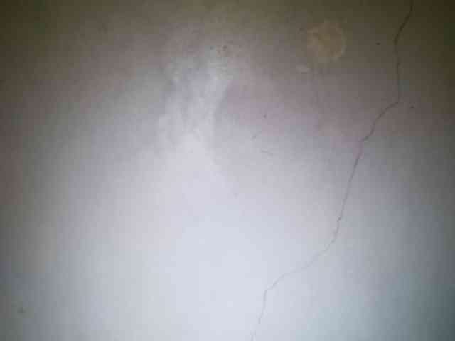 Smithsophie webcam