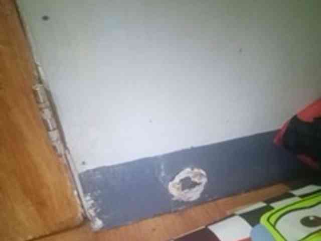 Smithsophie webcam