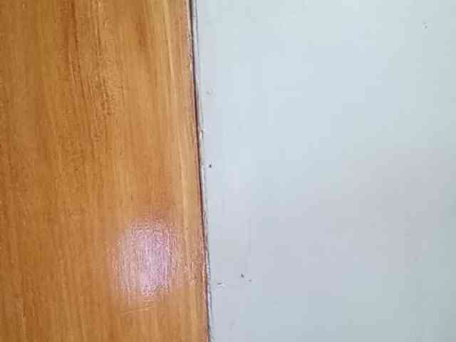 Smithsophie webcam