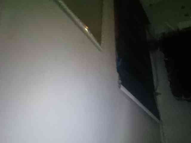 Smithsophie webcam
