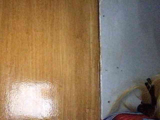 Smithsophie webcam