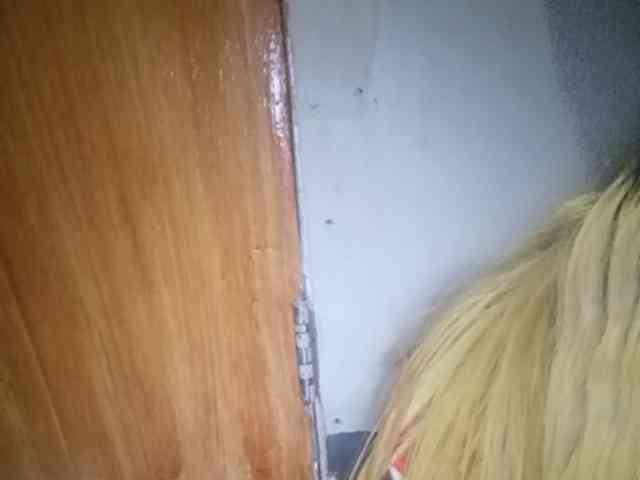 Smithsophie webcam