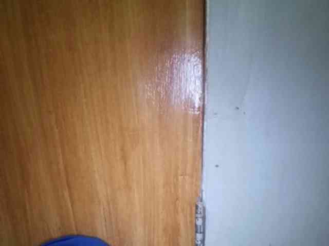 Smithsophie webcam