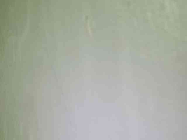 Pempemliciouss Pempemliciouss