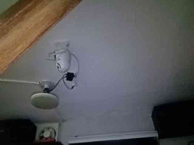 Smithsophie webcam