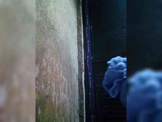 Smithsophie webcam
