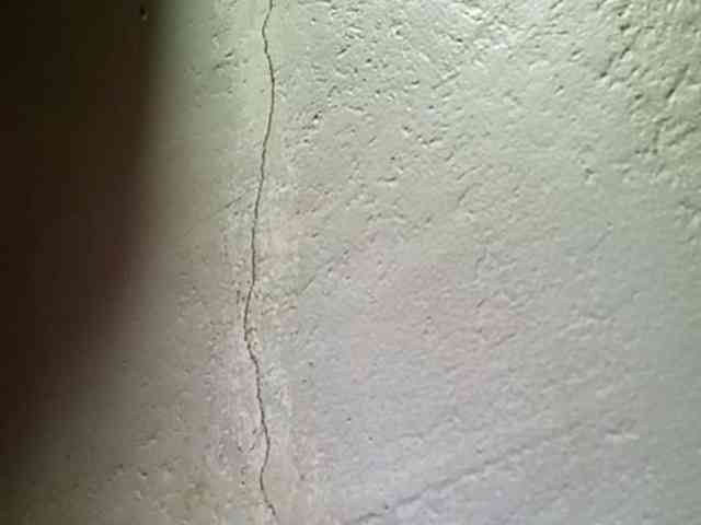 Smithsophie webcam