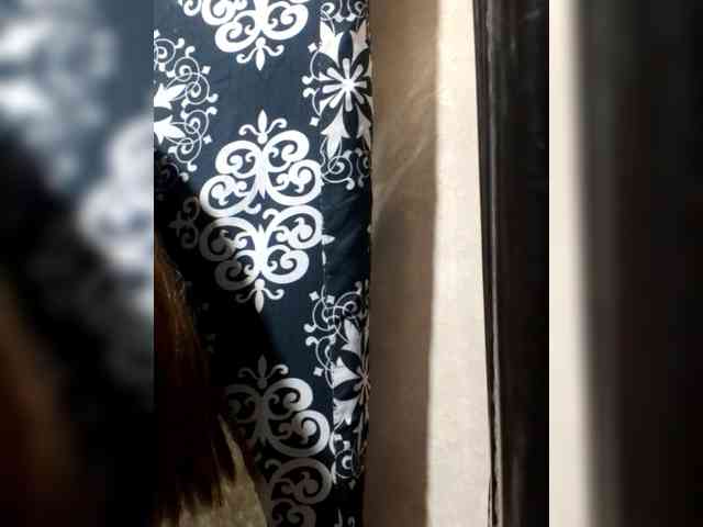 Smithsophie webcam
