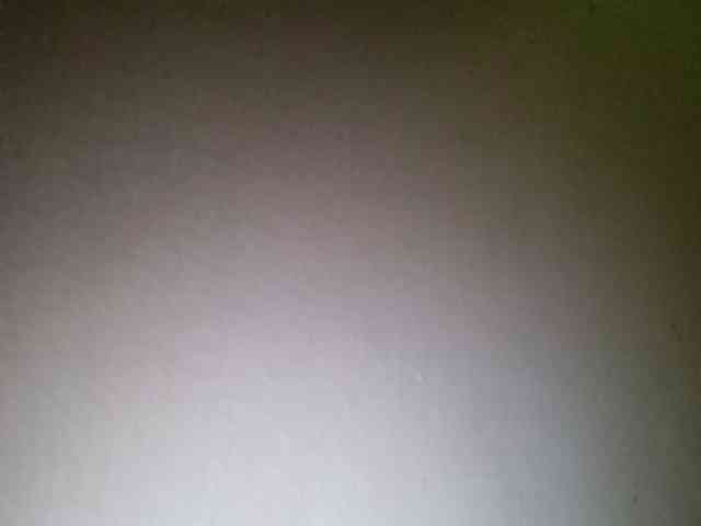Smithsophie webcam