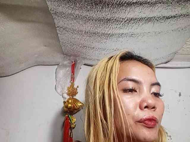 Smithsophie's cam show statistics and live stream