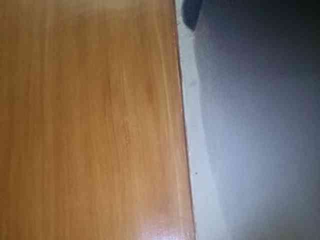Smithsophie webcam