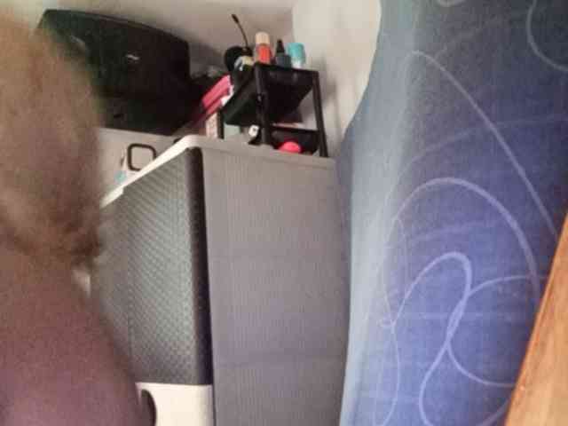 Smithsophie webcam