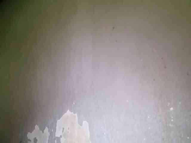 Smithsophie webcam