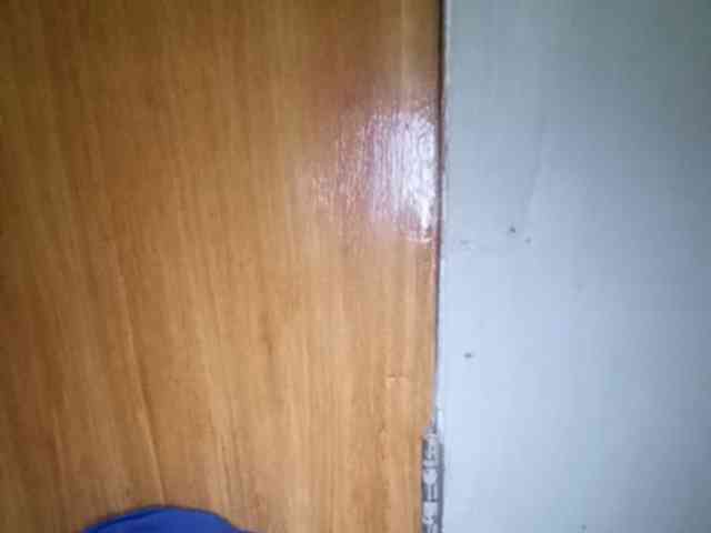 Smithsophie webcam