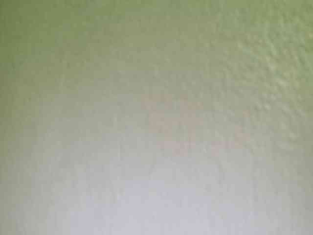 Smithsophie webcam