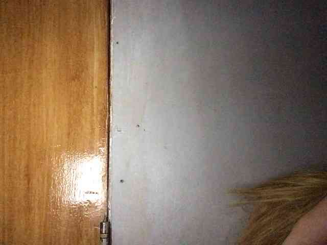 Smithsophie webcam