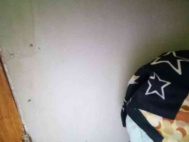 Pempemliciouss